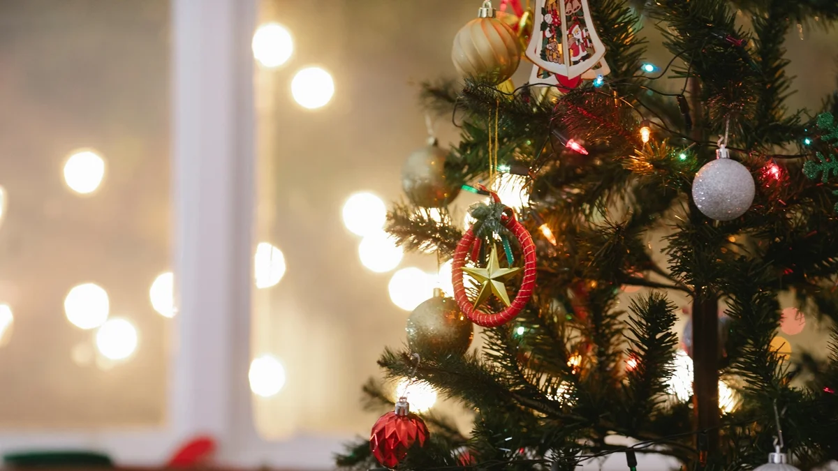MG: 450 crianças de abrigos esperam padrinhos para passar Natal em família