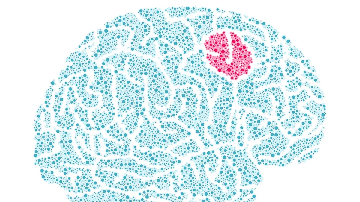 Novo teste promete fazer diagnóstico de tumor cerebral cair para duas horas