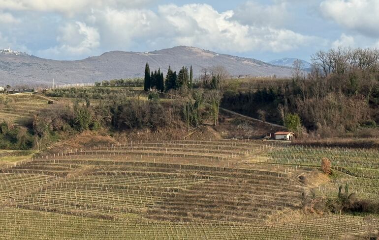 Vinhos dos Bálcãs: rótulos ainda pouco conhecidos no Brasil ganham destaque internacional