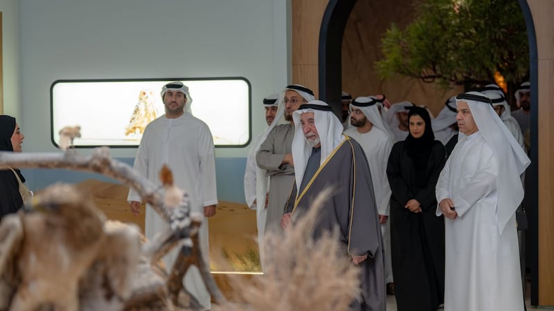 Pequena cidade, grandes sonhos: como o Etihad Rail colocará Al Dhaid de Sharjah no mapa