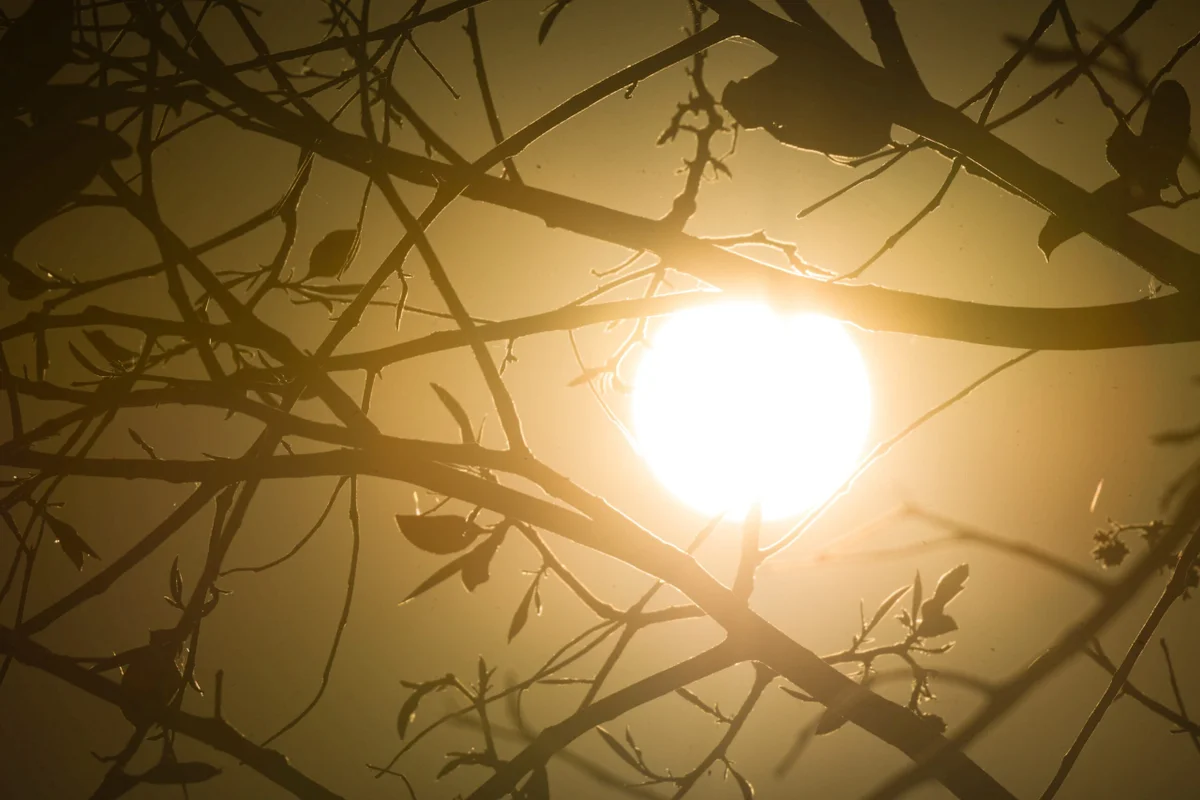 Baixa umidade de calorão: confira a previsão do tempo para semana no DF