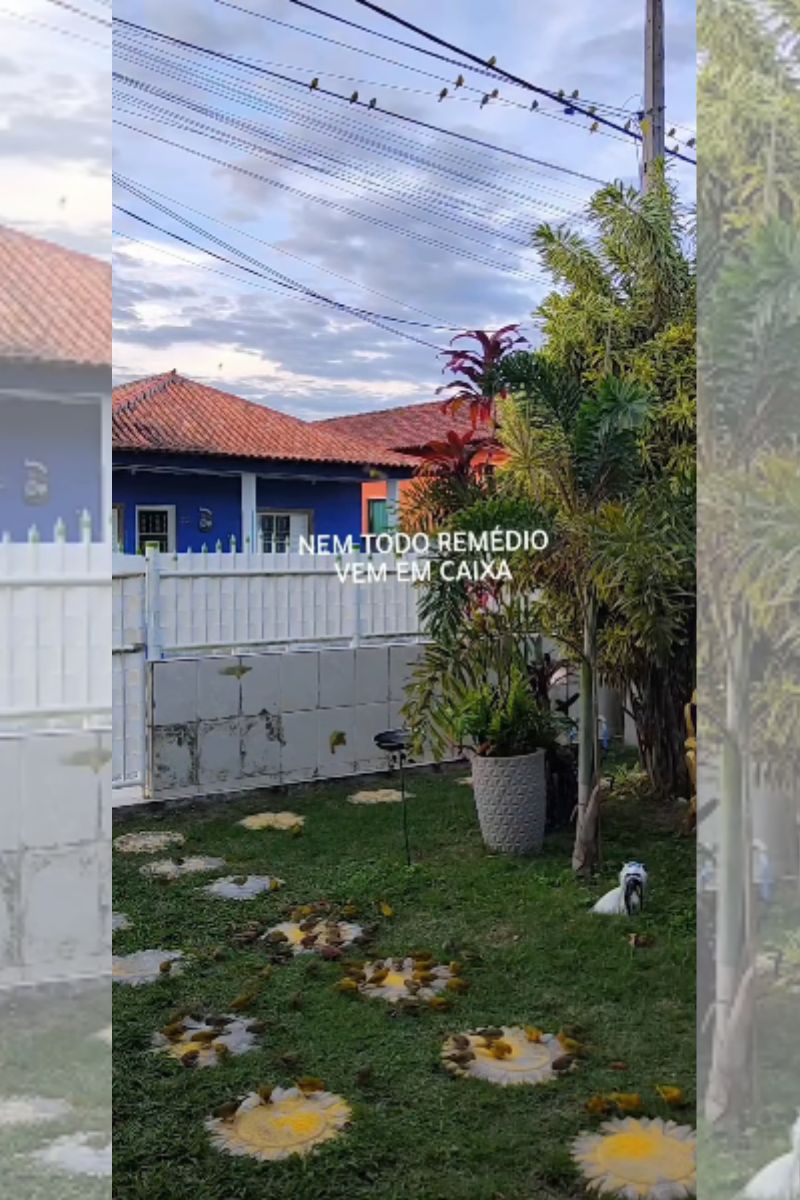 Influenciadora cria recanto para passarinhos em cenário de "conto de fadas"