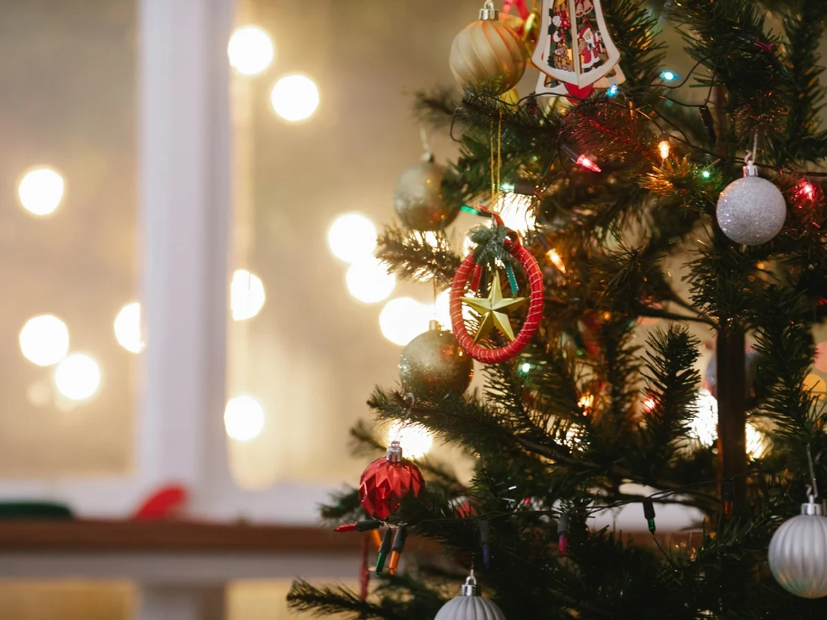 MG: 450 crianças de abrigos esperam padrinhos para passar Natal em família