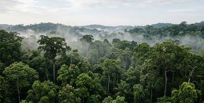 Imagem gerada por Intelig&ecirc;ncia Artificial, que n&atilde;o tem o objetivo de refletir ou retratar situa&ccedil;&otilde;es reais. Foto: Imagem: gerada por IA / Portal Terra / TerrAI