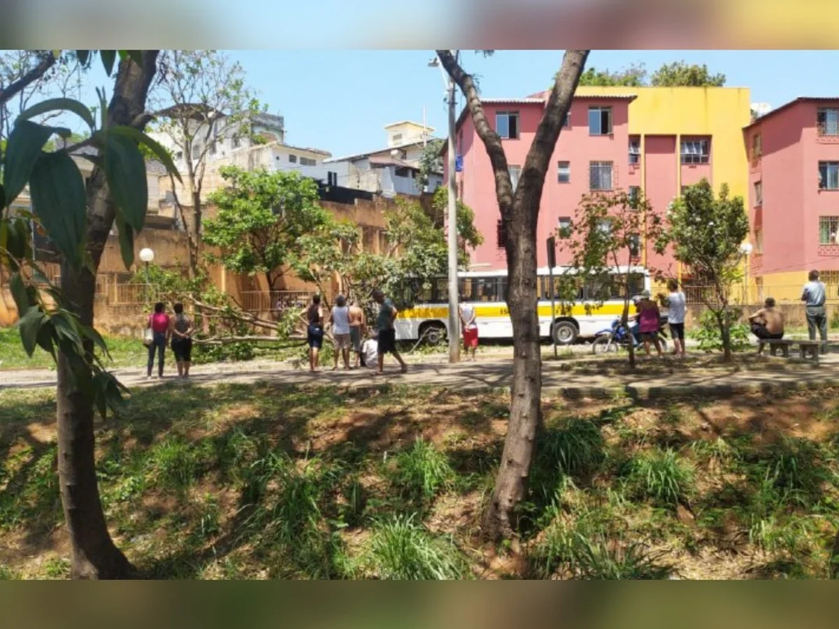 Ônibus escolar bate em poste e duas crianças ficam feridas em BH