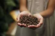 Ranking com as 100 melhores cafeterias da América Latina tem 12 brasileiras