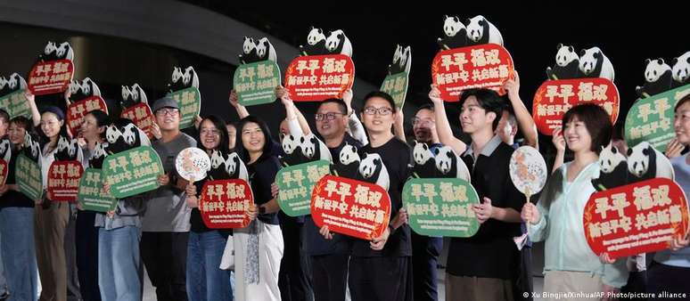 China envia dois pandas-gigantes para zoológico nos EUA