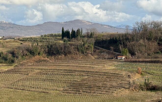 Vinhos dos Bálcãs: rótulos ainda pouco conhecidos no Brasil ganham destaque internacional