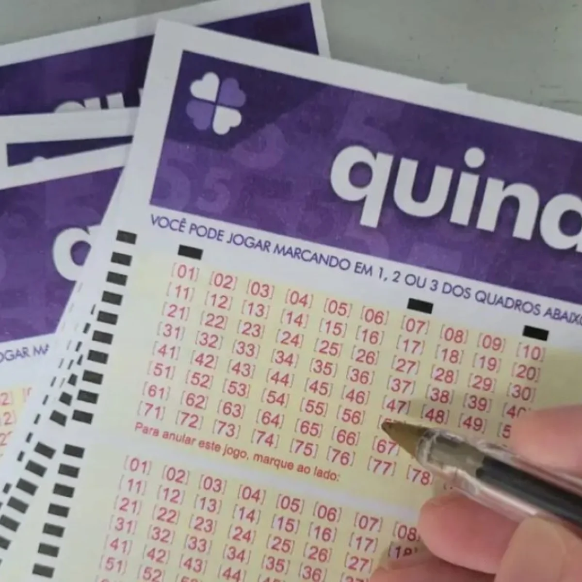 Quina 7130 acumula, e prêmio sobe para R$ 13,5 milhões. Confira resultado