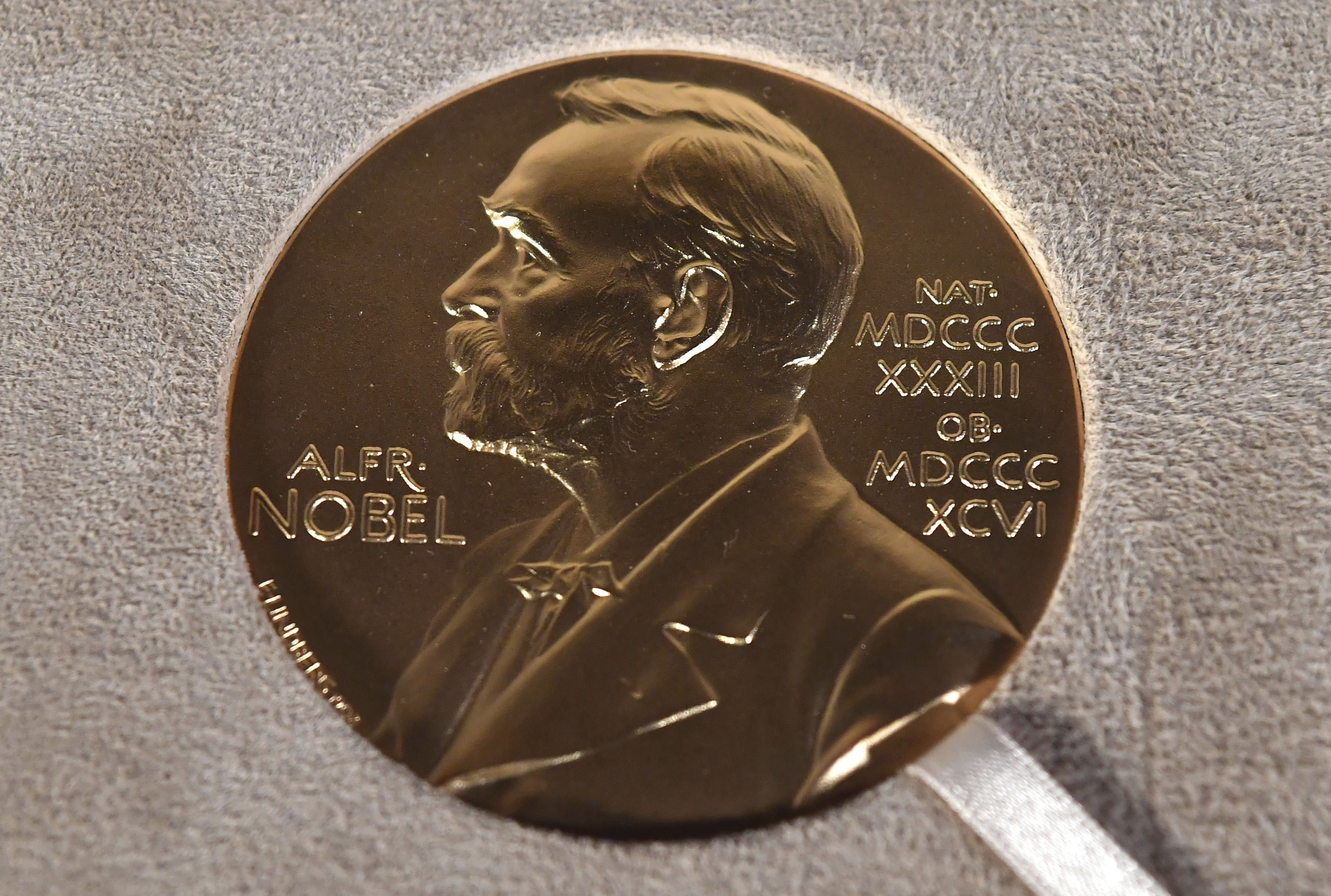 Brasil nunca ganhou um Nobel, mas já teve 28 indicados; veja quem são e entenda por quê