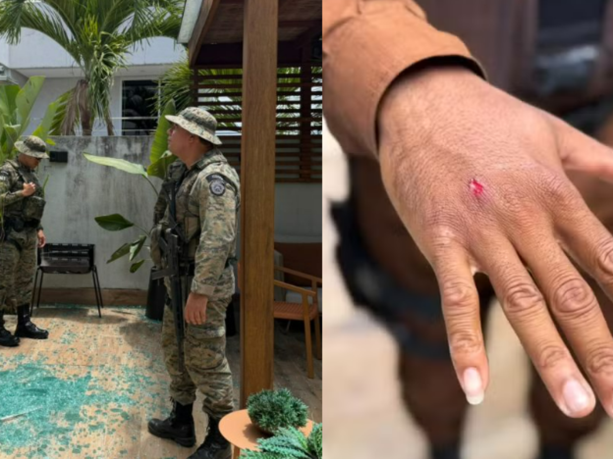 Macaco-prego invade casas na Bahia, ingere álcool e deixa feridos antes de ser capturado pela Polícia