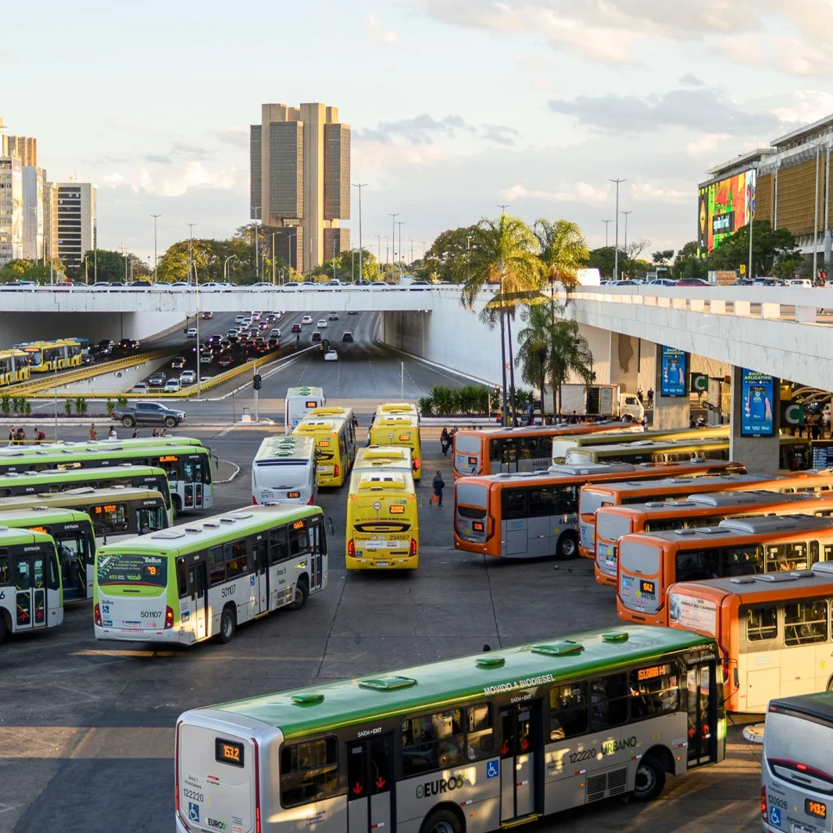 Eleições 2026: transporte público será gratuito no DF neste domingo (4/10)