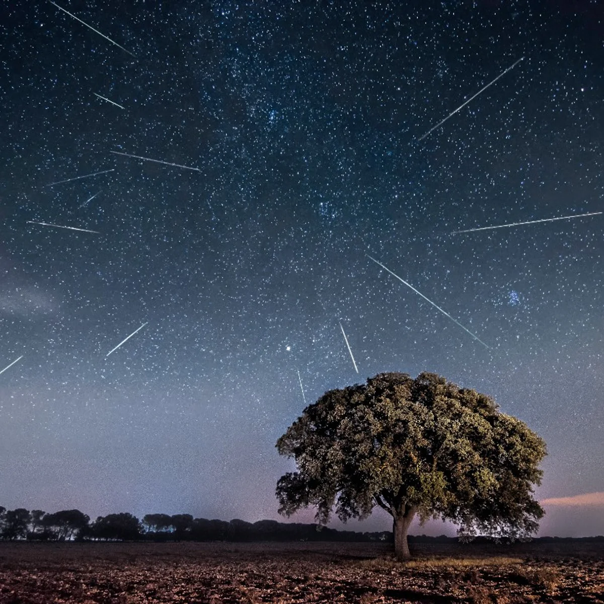 Chuva de meteoros Táuridas poderá ser vista do Brasil nesta terça (13/10)