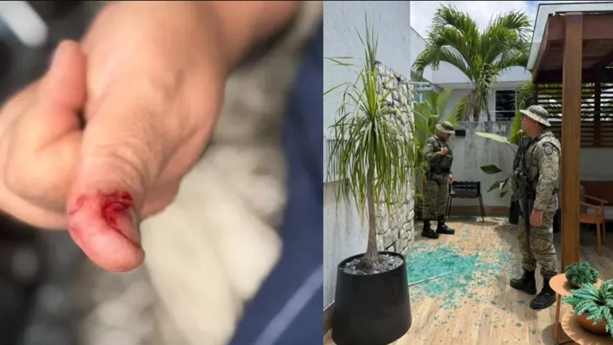 Macaco de ex-deputado foge e causa confusão após beber álcool e remédios