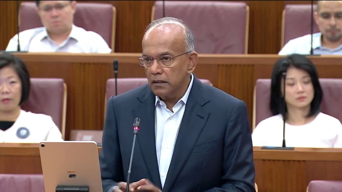 K Shanmugam sobre as disposições de sentença para jovens em delitos relacionados a golpes