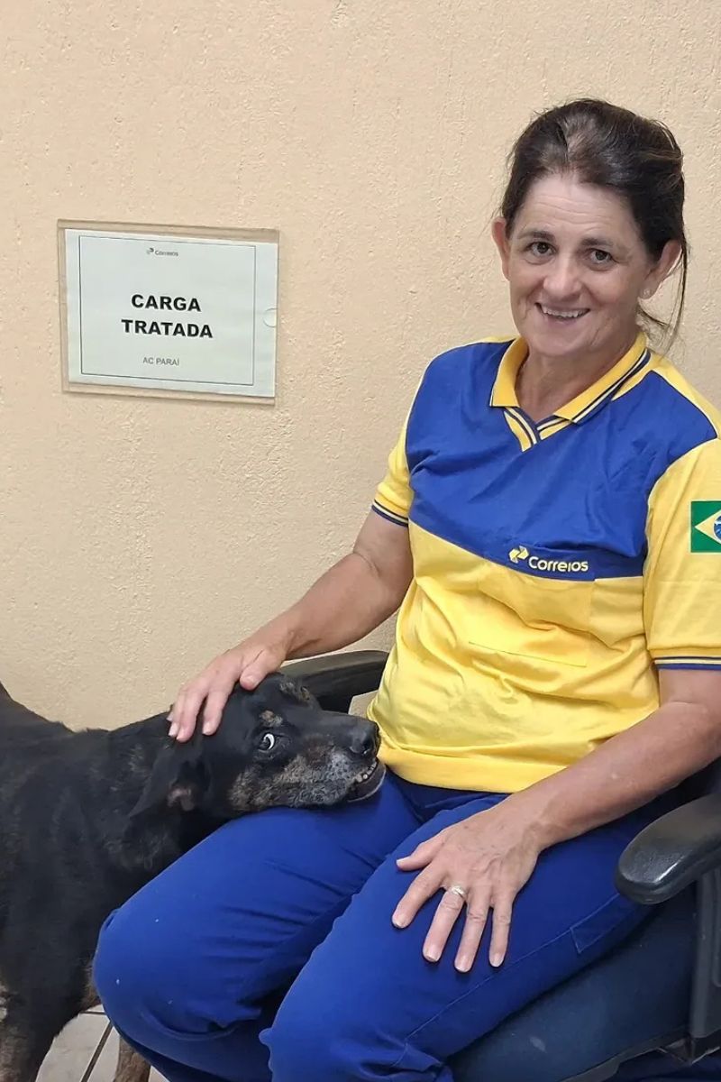 Cachorro ganha uniforme dos Correios após 10 anos acompanhando funcionária