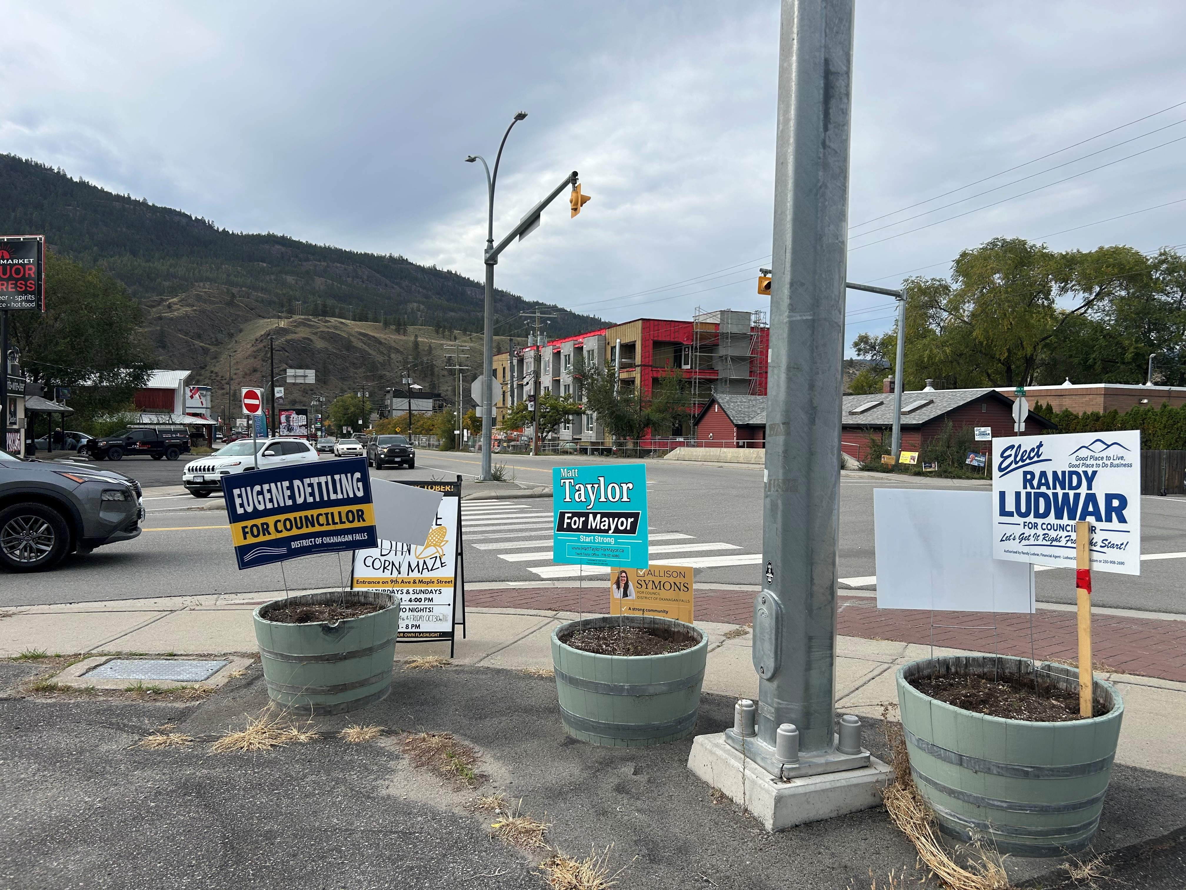 Three candidates are running for the mayor's seat and 11 for four council spots in the community's first ever municipal election.