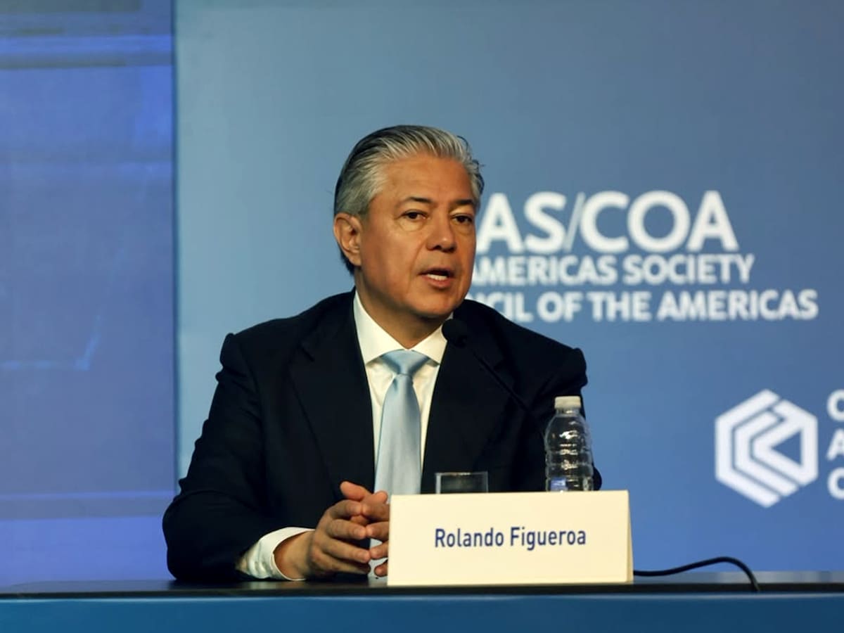 El gobernador de Neuquén, Rolando Figueroa