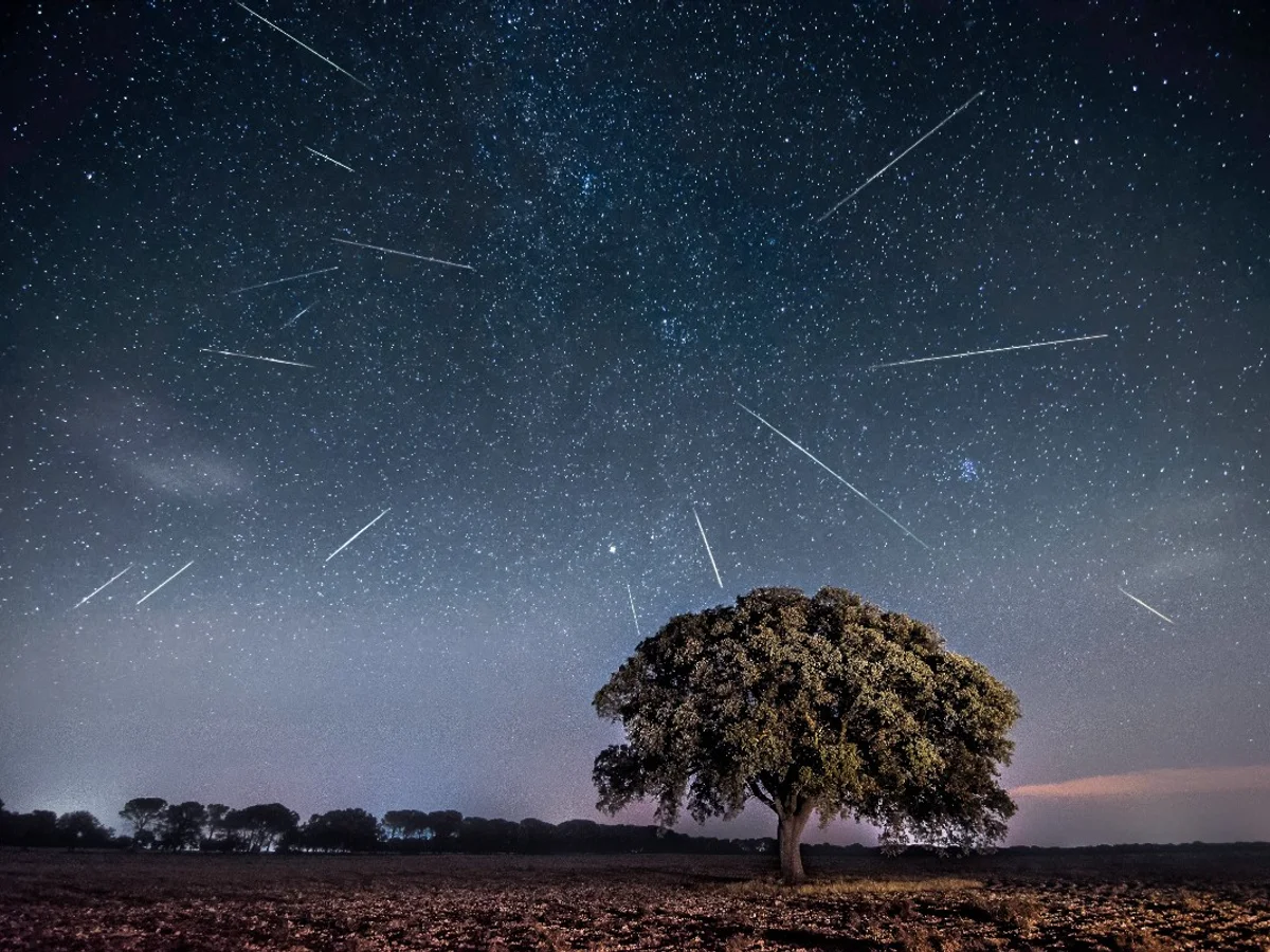 Chuva de meteoros Táuridas poderá ser vista do Brasil nesta terça (13/10)