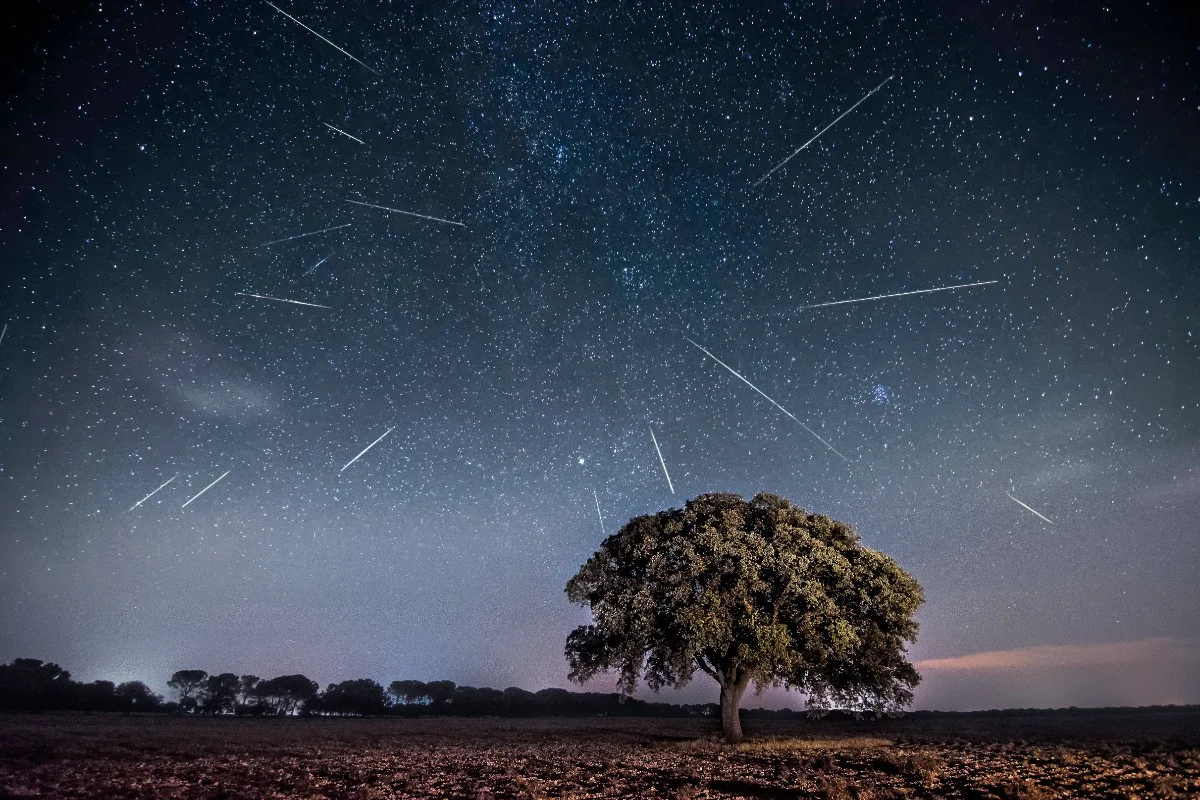 Chuva de meteoros Táuridas poderá ser vista do Brasil nesta terça (13/10)